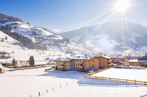 Apartments With Mountain View near the slopes in Rauris